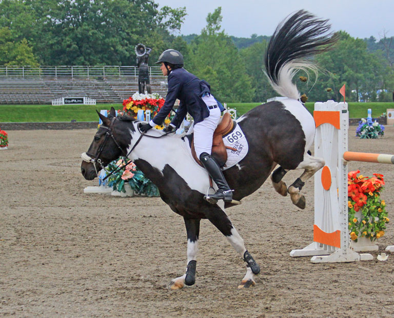 Horse Jumping 6 4a   P OMalley